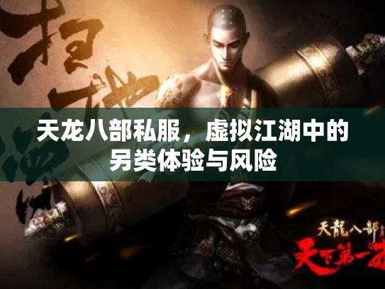 天龙八部私服，虚拟江湖中的另类体验与风险