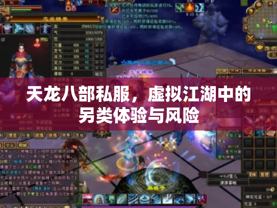 天龙八部私服，虚拟江湖中的另类体验与风险