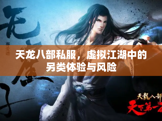 天龙八部私服，虚拟江湖中的另类体验与风险