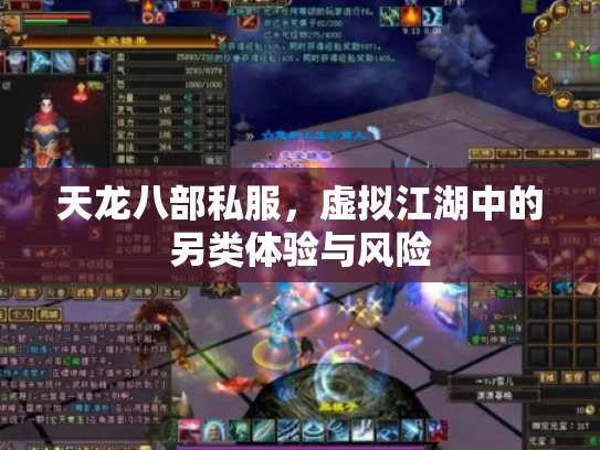 天龙八部私服，虚拟江湖中的另类体验与风险