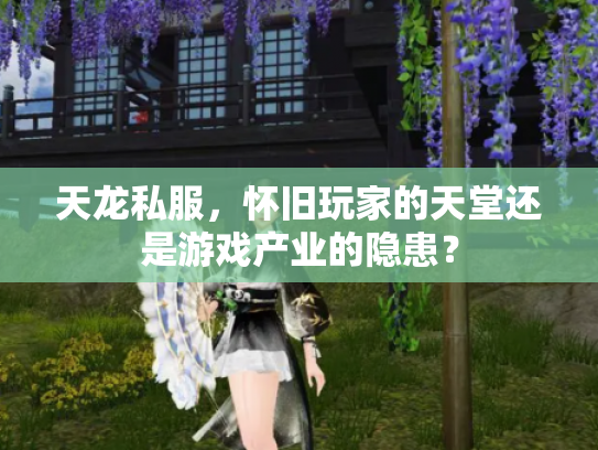 天龙私服，怀旧玩家的天堂还是游戏产业的隐患？