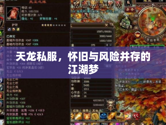 天龙私服，怀旧与风险并存的江湖梦