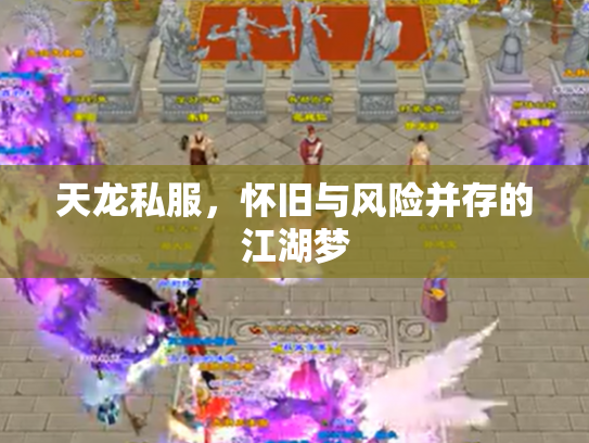 天龙私服，怀旧与风险并存的江湖梦