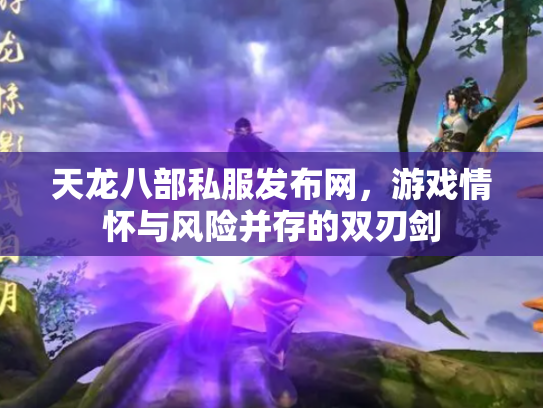 天龙八部私服发布网，游戏情怀与风险并存的双刃剑