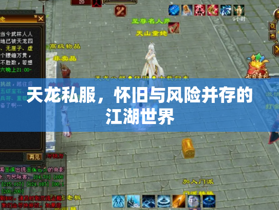 天龙私服，怀旧与风险并存的江湖世界
