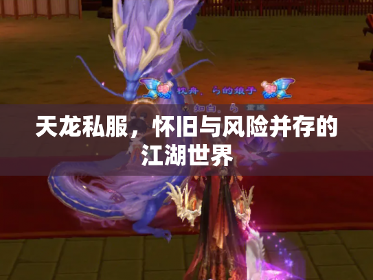 天龙私服，怀旧与风险并存的江湖世界