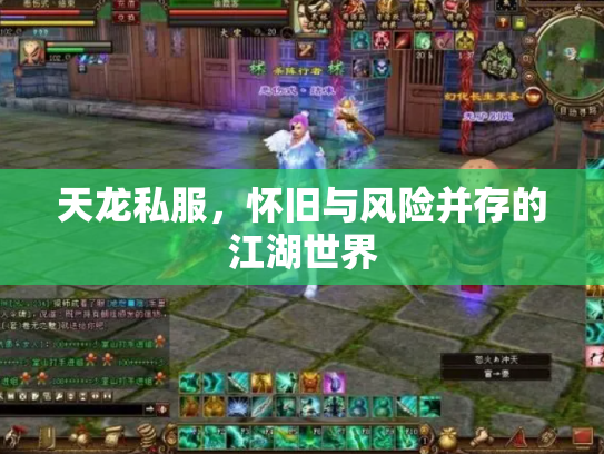 天龙私服，怀旧与风险并存的江湖世界