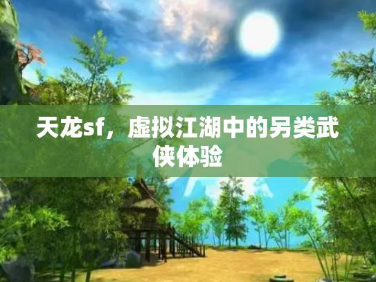 天龙sf，虚拟江湖中的另类武侠体验