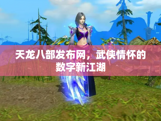天龙八部发布网，武侠情怀的数字新江湖