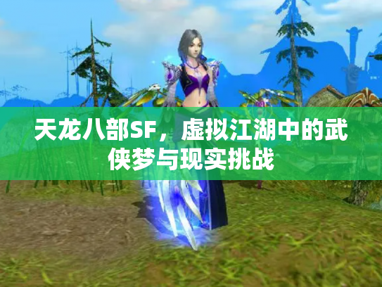 天龙八部SF，虚拟江湖中的武侠梦与现实挑战