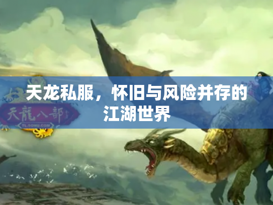 天龙私服，怀旧与风险并存的江湖世界