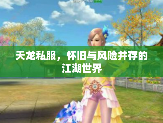天龙私服，怀旧与风险并存的江湖世界