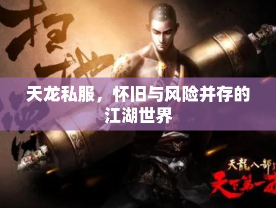 天龙私服，怀旧与风险并存的江湖世界