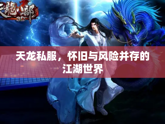 天龙私服，怀旧与风险并存的江湖世界
