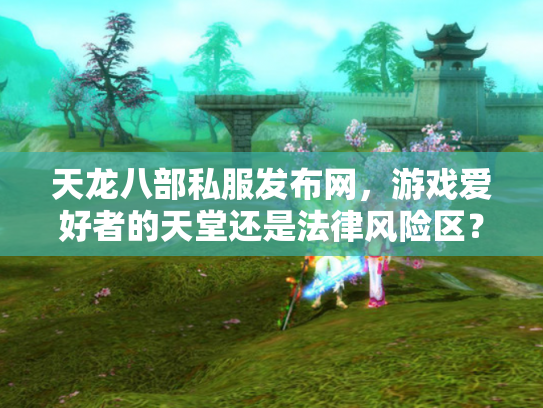天龙八部私服发布网，游戏爱好者的天堂还是法律风险区？