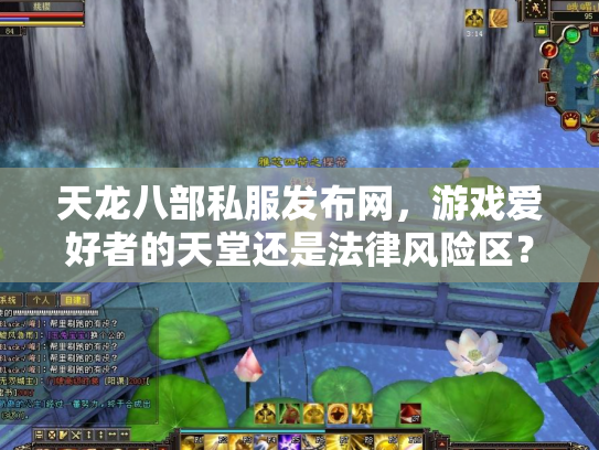 天龙八部私服发布网，游戏爱好者的天堂还是法律风险区？