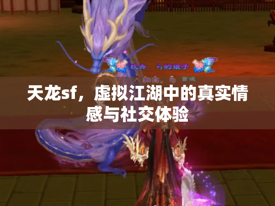 天龙sf，虚拟江湖中的真实情感与社交体验