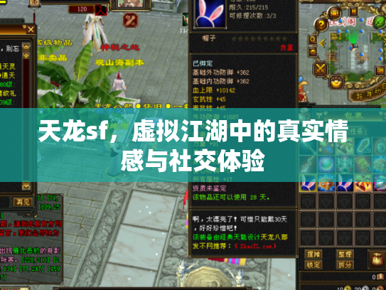 天龙sf，虚拟江湖中的真实情感与社交体验