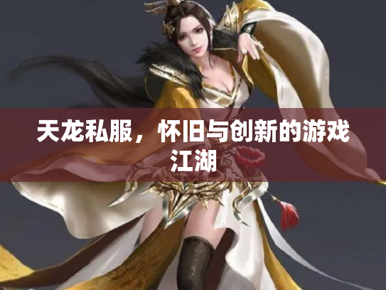 天龙私服，怀旧与创新的游戏江湖