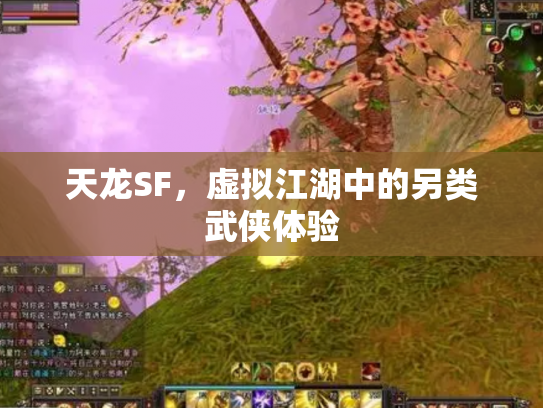 天龙SF，虚拟江湖中的另类武侠体验