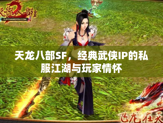 天龙八部SF，经典武侠IP的私服江湖与玩家情怀