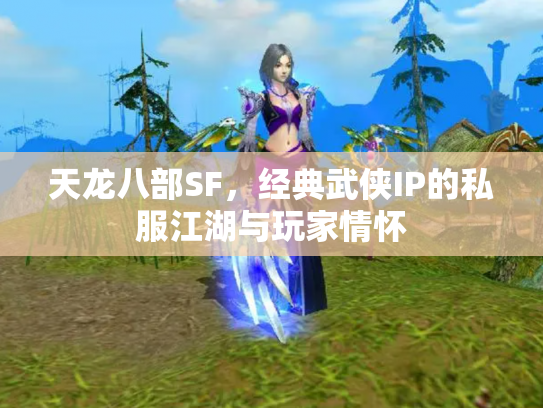 天龙八部SF，经典武侠IP的私服江湖与玩家情怀
