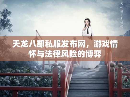 天龙八部私服发布网，游戏情怀与法律风险的博弈