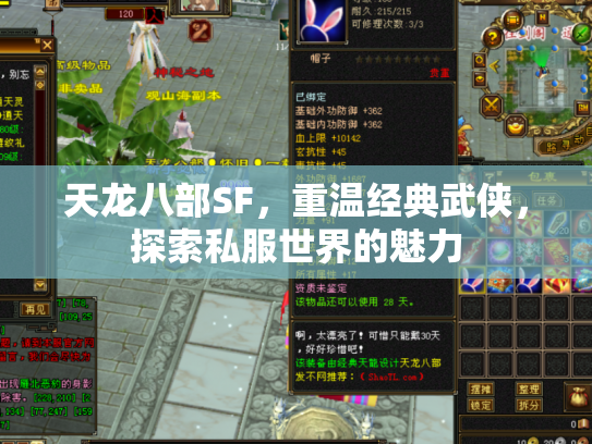天龙八部SF，重温经典武侠，探索私服世界的魅力