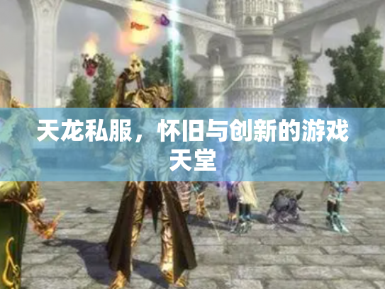 天龙私服，怀旧与创新的游戏天堂