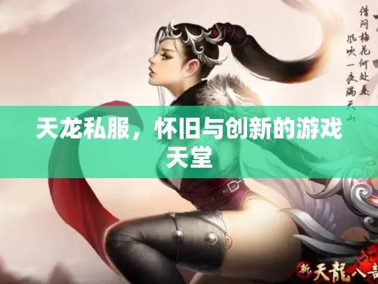 天龙私服，怀旧与创新的游戏天堂