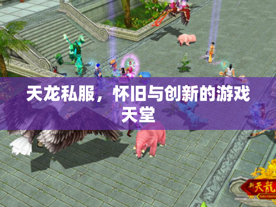 天龙私服，怀旧与创新的游戏天堂