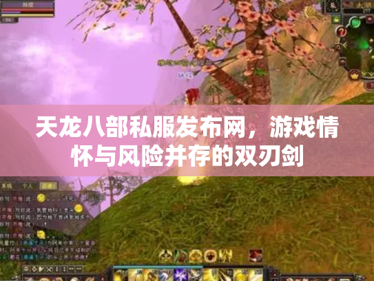 天龙八部私服发布网，游戏情怀与风险并存的双刃剑