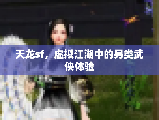 天龙sf，虚拟江湖中的另类武侠体验