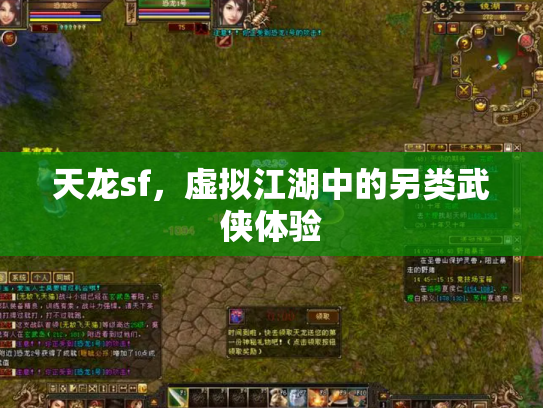 天龙sf，虚拟江湖中的另类武侠体验