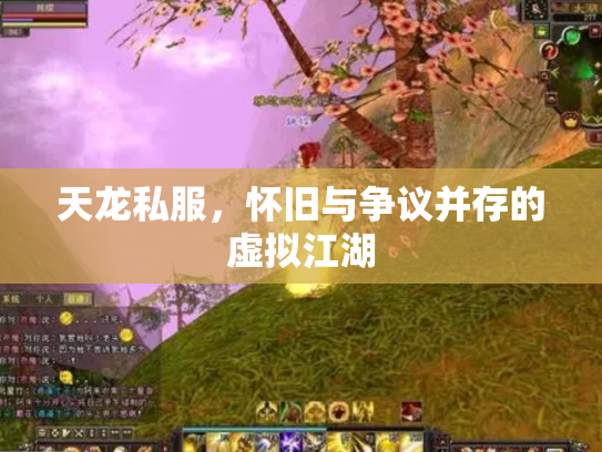 天龙私服，怀旧与争议并存的虚拟江湖