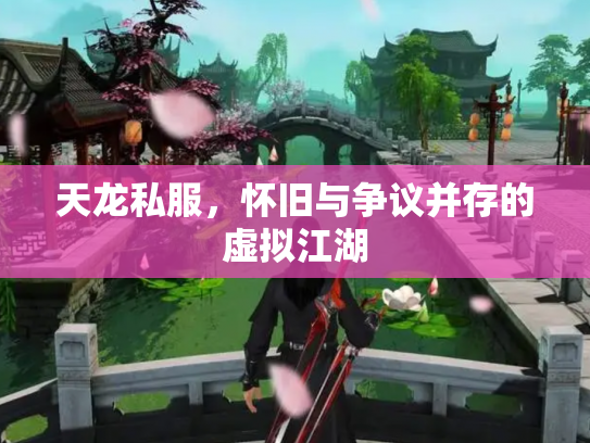天龙私服，怀旧与争议并存的虚拟江湖