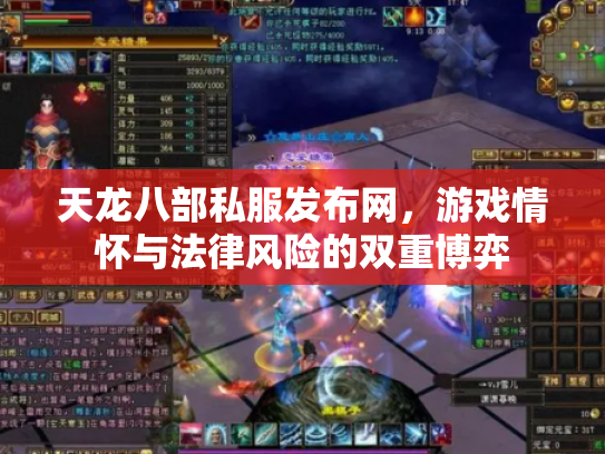 天龙八部私服发布网，游戏情怀与法律风险的双重博弈