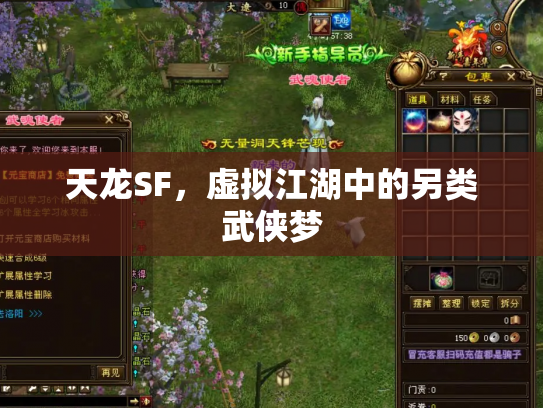 天龙SF，虚拟江湖中的另类武侠梦