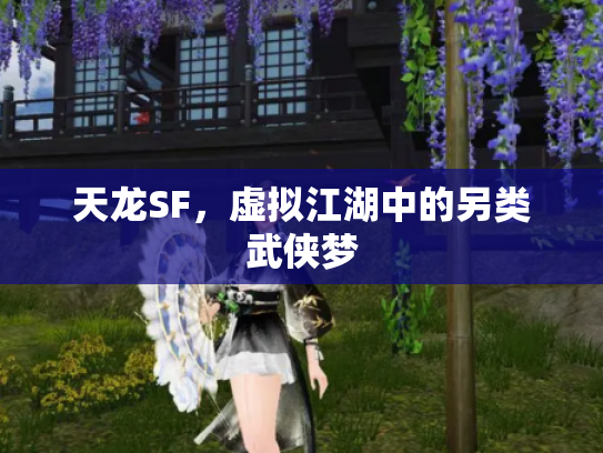 天龙SF，虚拟江湖中的另类武侠梦