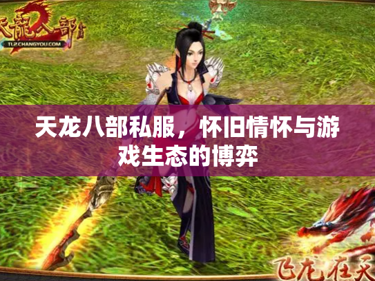 天龙八部私服，怀旧情怀与游戏生态的博弈