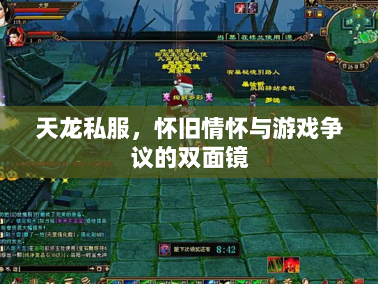 天龙私服，怀旧情怀与游戏争议的双面镜