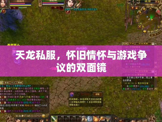 天龙私服，怀旧情怀与游戏争议的双面镜