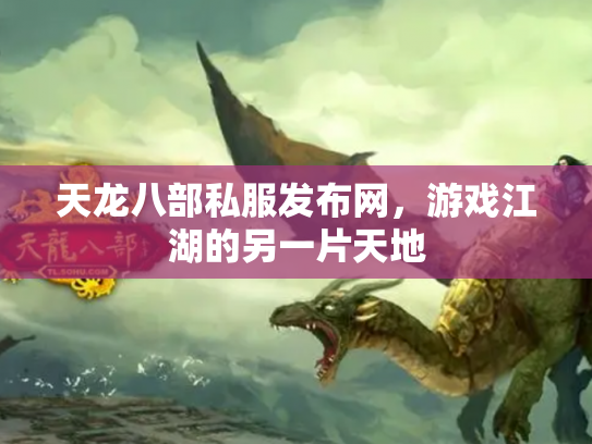 天龙八部私服发布网，游戏江湖的另一片天地