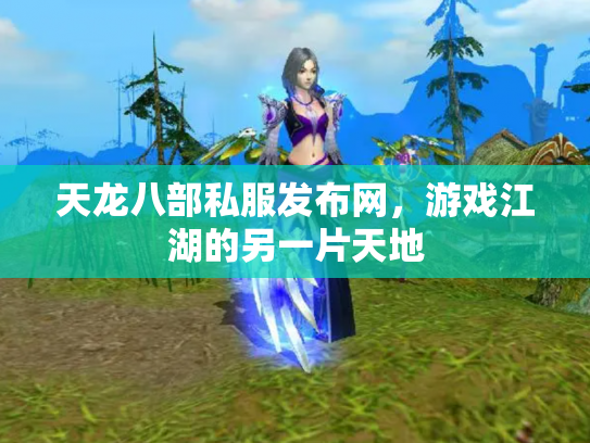 天龙八部私服发布网，游戏江湖的另一片天地