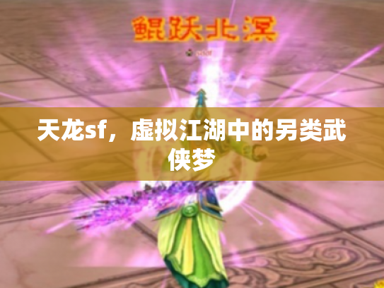天龙sf，虚拟江湖中的另类武侠梦