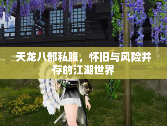 天龙八部私服，怀旧与风险并存的江湖世界