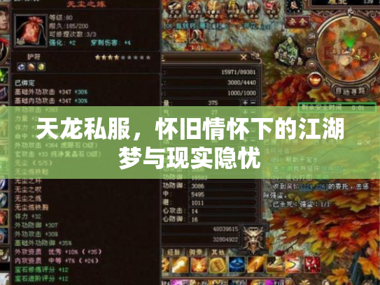 天龙私服，怀旧情怀下的江湖梦与现实隐忧
