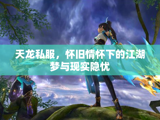 天龙私服，怀旧情怀下的江湖梦与现实隐忧