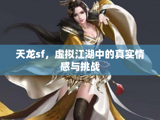 天龙sf，虚拟江湖中的真实情感与挑战