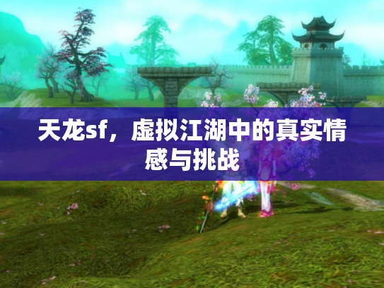 天龙sf，虚拟江湖中的真实情感与挑战